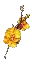 Gold Cherry